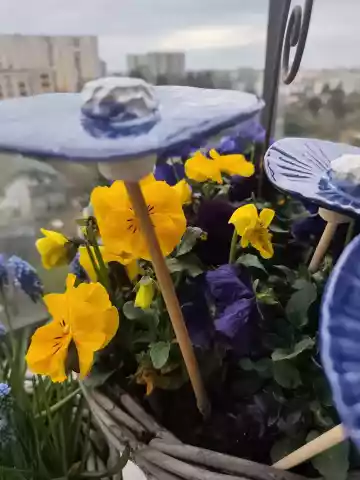 Kwiaty ceramiczne 3szt na drewnianych kijkach