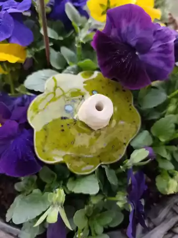 koniczyna ceramiczna poidło